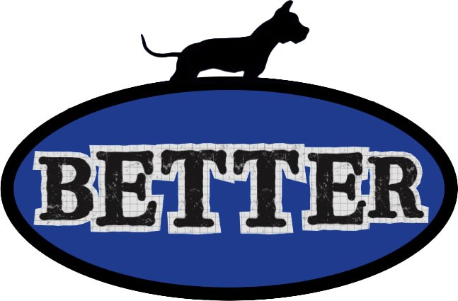 Better Dumpsters Today Logo